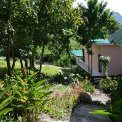 Phi Phi Jungle Hill Bungalow - Bild 3