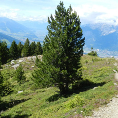 Eagles Inn - Bild 9
