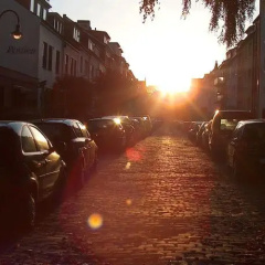 Peterswerder - Bild 7