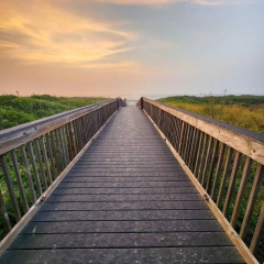 Coco Beach Hotel on South Padre Island thumbnail 21
