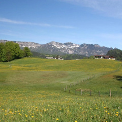 Oberreitlehen - Bild 10