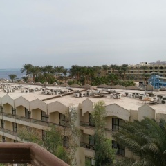 Golden Rose Hotel - Bild 22