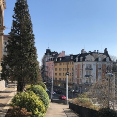 Royal Hotel Zurich - Bild 24