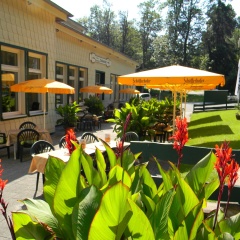 Hotel Waldmühle - Bild 9