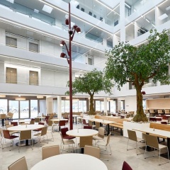 Hotel Vivendi - Bild 26