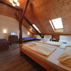 Hotel Olga - Bild 6