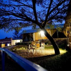 Discover Rwanda Kayonza Eco-Lodge in Kayonza, Rwanda from 226$, photos, reviews - zenhotels.com photo 34