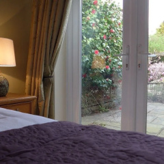 The Olive Tree B&B thumbnail 2