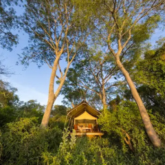 Glamping Los Palmares photo 2