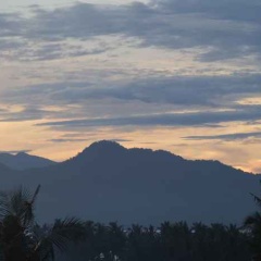 Harmoni Guest House Banyuwangi - Bild 14