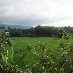 Rumi Bumi Lovina - Bild 15