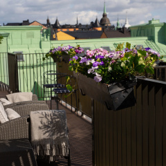 Hotel Rival - Bild 19