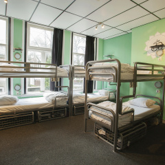 The Flying Pig Uptown Hostel - Bild 3