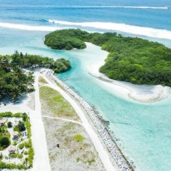 Orimas Retreat in North Male Atoll, Maldives from 70$, photos, reviews - zenhotels.com photo 34