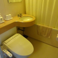 Hachijo View Hotel thumbnail 10