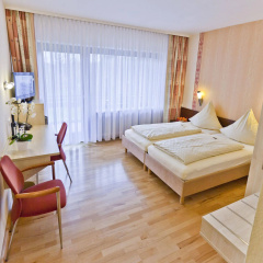 Allee Hotel Leidinger - Bild 2