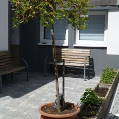 Haus des Handwerkers - Bild 13