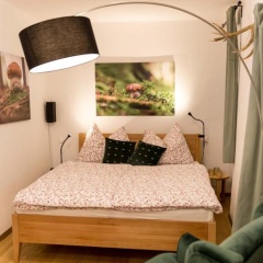 Schlossberg - Apartment - Bild 6