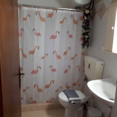 Antonia House thumbnail 10