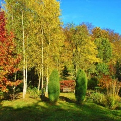 Ostsee-Pension An der Lindenallee - Bild 9
