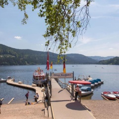 Kuckucksnest Haus Titisee - Bild 7