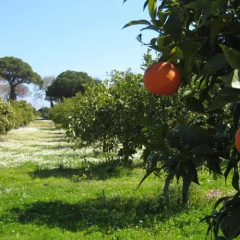 Şahin Pansiyon - Bild 2