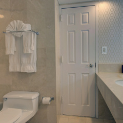 The Roslyn, Tapestry Collection by Hilton thumbnail 8