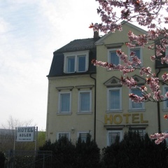 Adler - Bild 1