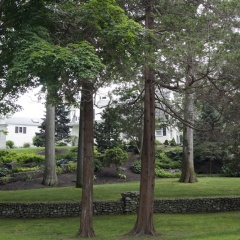 The Scranton Seahorse Inn thumbnail 22