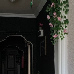 Otel Palan - Bild 5