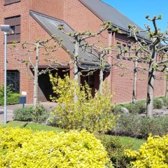 PEMATRA Ferienwohnungen Ostseestrasse 2 - Bild 6