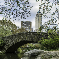 The Pierre, A Taj Hotel, New York - Bild 24