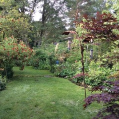 Kastanienhof Alvern - Bild 7