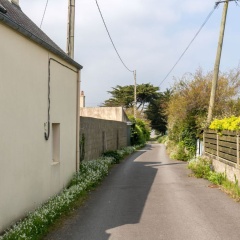 Va Zi Bihan (GUI111) photo 2