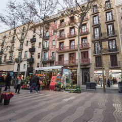 Apartments Ramblas 108 - Bild 1