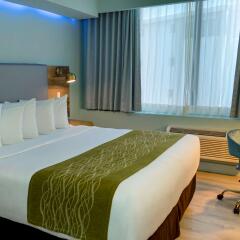 Abitta Boutique Hotel, Ascend Hotel Collection in Santurce, Puerto Rico from 192$, photos, reviews - zenhotels.com photo 42