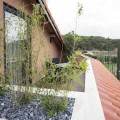 7 Rooms - Adults Only - Bild 15