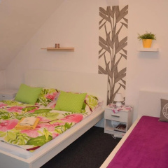 Guesthouse Zlatý Hrozen thumbnail 5