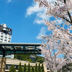 Hotel Kusakabe Armeria