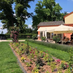 Apartmenthaus Schlosspark - Bild 9