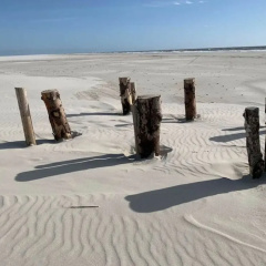 Hasennest Amrum Modern Retreat - Bild 12