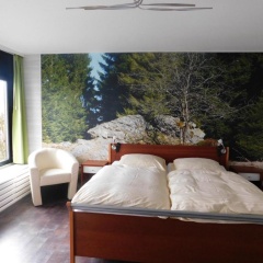Pension Haus Petra - Bild 3