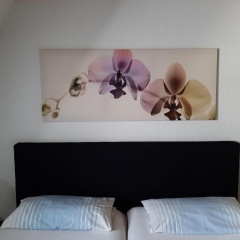 Ferienwohnung-Stricker-Typ-B-Balkon-2-2 - Bild 2