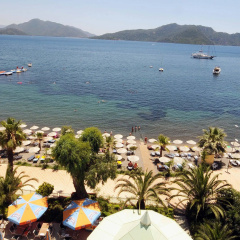 Flamingo - Bild 11