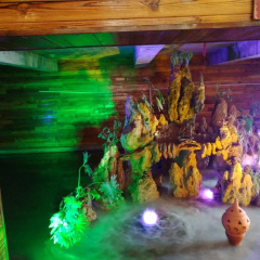 Peacock Princess Hotel thumbnail 17