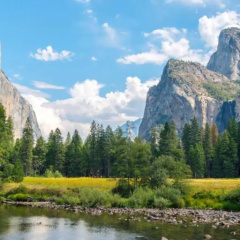 Yosemite Condominium thumbnail 4