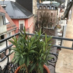 VIP Apartment Baden-Baden - Bild 10
