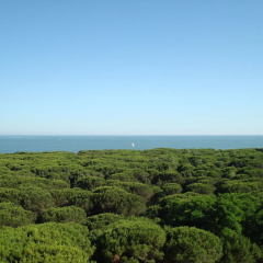 MarePineta Resort thumbnail 31