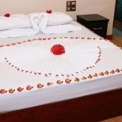 Mathiveri Lodge in Alif Alif Atoll, Maldives from 99$, photos, reviews - zenhotels.com photo 24