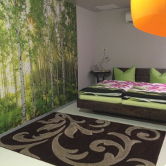 Landhaus Dessau - Bild 5